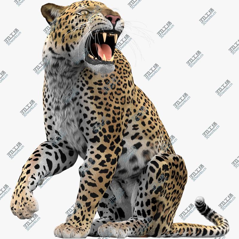 images/goods_img/2021040161/Leopard (Rigged-Fur) 3D model/1.jpg